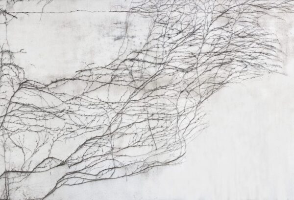 Rebel Walls pilttapeet Breathe R17051