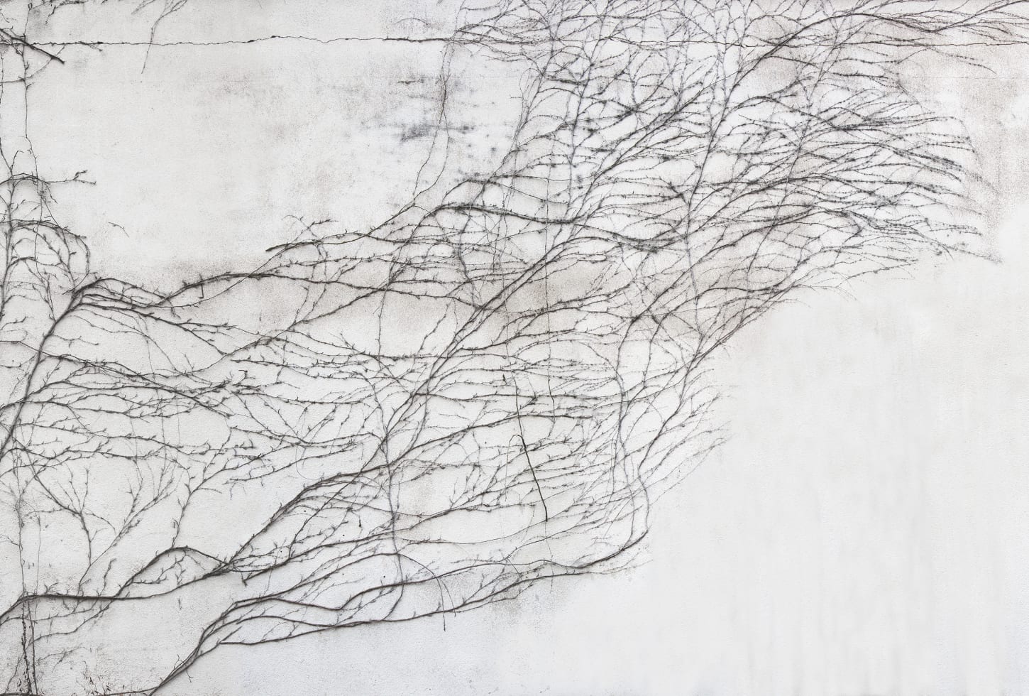 Rebel Walls pilttapeet Breathe R17051