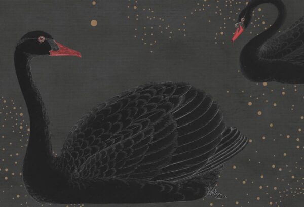 Rebel Walls pilttapeet Cygne, Noir R17121