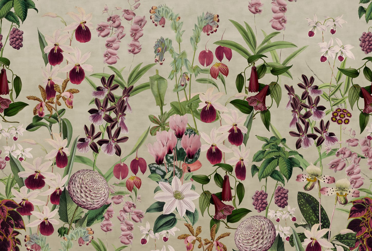 Rebel Walls pilttapeet Alices Garden R17161