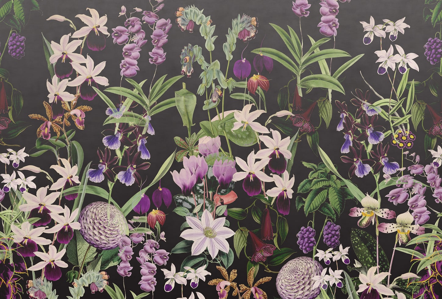 Rebel Walls pilttapeet Alices Garden, Midnight R17163