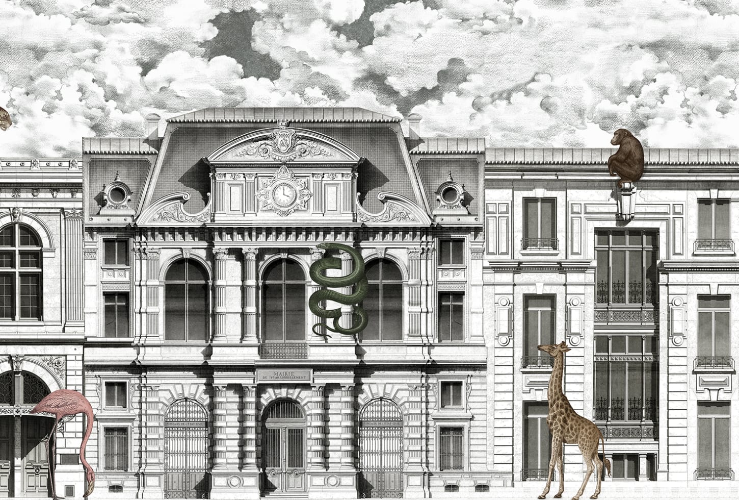 Rebel Walls pilttapeet Animal Avenue R17171