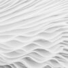 Rebel Walls pilttapeet Flounce R17291