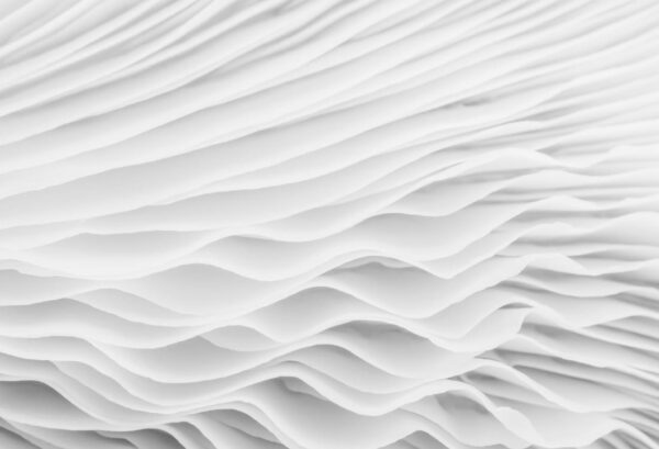 Rebel Walls pilttapeet Flounce R17291