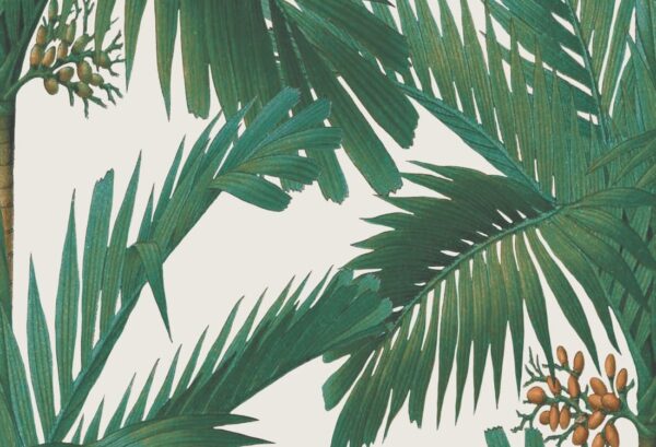 Rebel Walls tapeet Palm Spring, Pearl R17572
