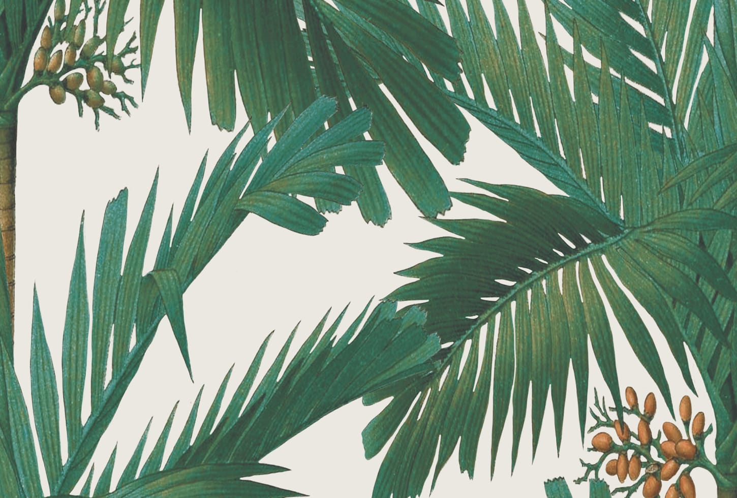 Rebel Walls tapeet Palm Spring, Pearl R17572