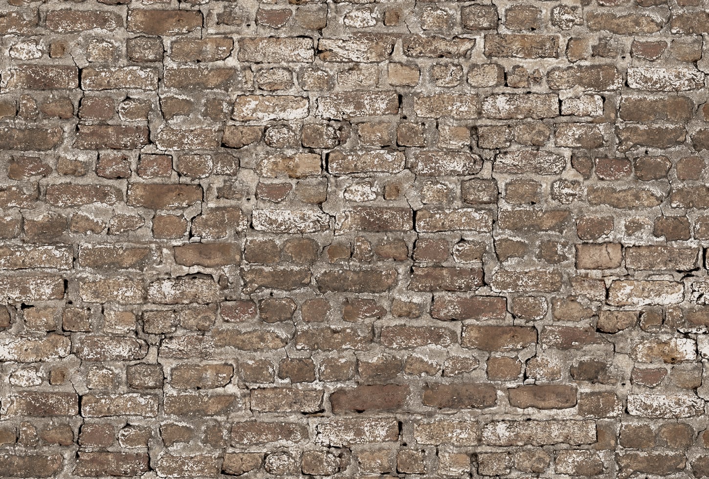 Rebel Walls pilttapeet Leiria, Sand R17661