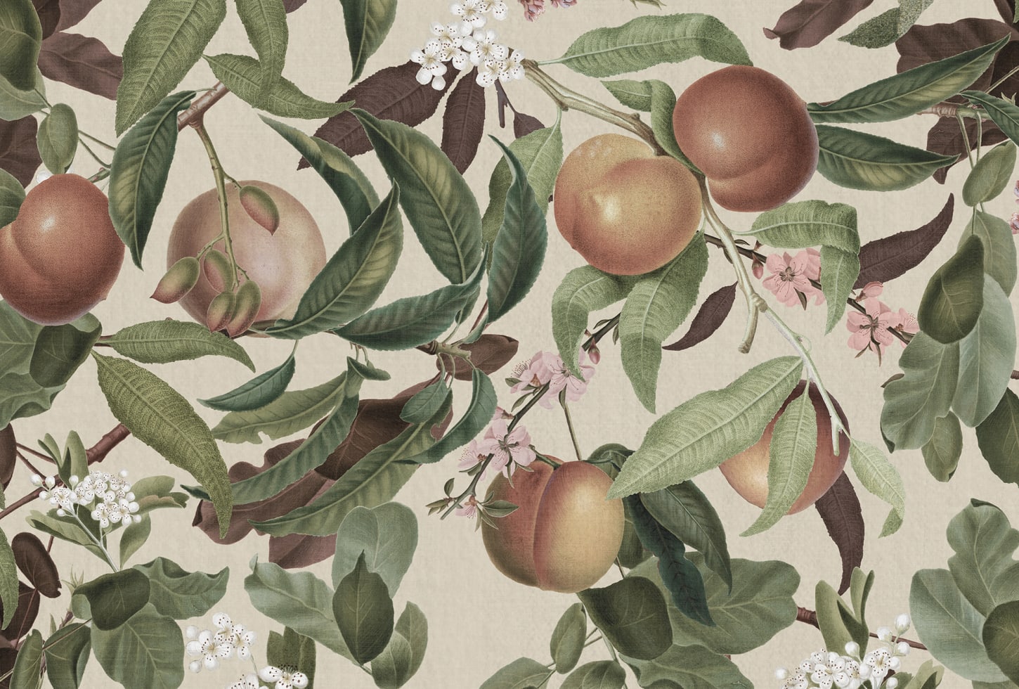 Rebel Walls tapeet Peach Valley, Sand R17992