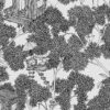 Rebel Walls tapeet Treehouse, Graphite R18011