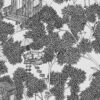 Rebel Walls tapeet Treehouse, Graphite R18011