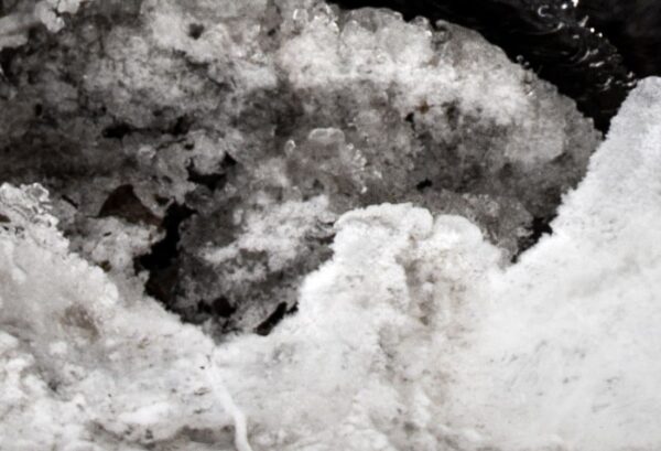 Rebel Walls pilttapeet River, Graphite R18471