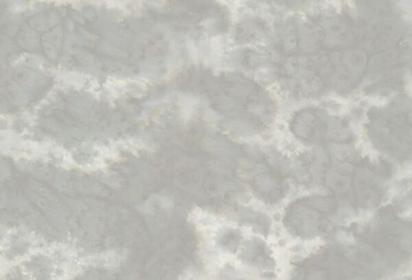 Rebel Walls tapeet Flow Mini Shallow Grey R18524