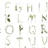 Rebel Walls tapeet Floral Alphabet Mini English R18532