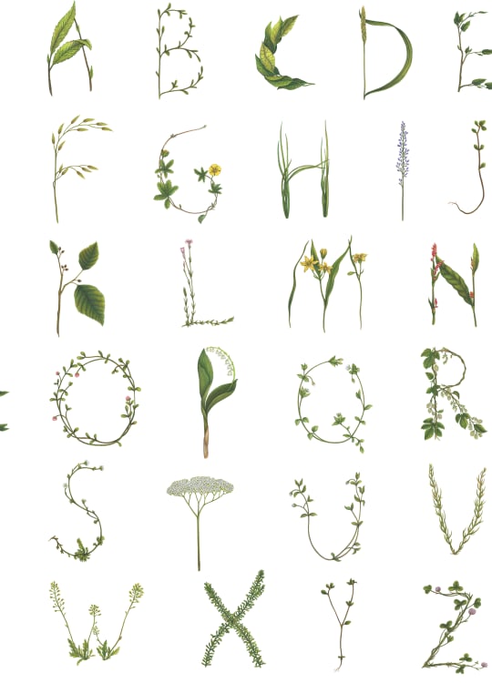Rebel Walls tapeet Floral Alphabet Mini English R18532