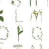 Rebel Walls tapeet Floral Alphabet Mini English R18532