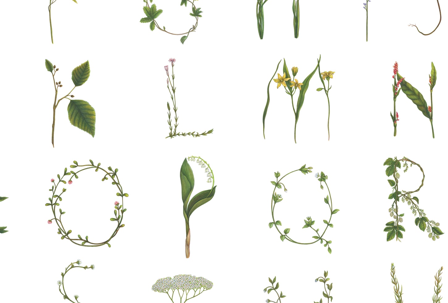 Rebel Walls tapeet Floral Alphabet Mini English R18532
