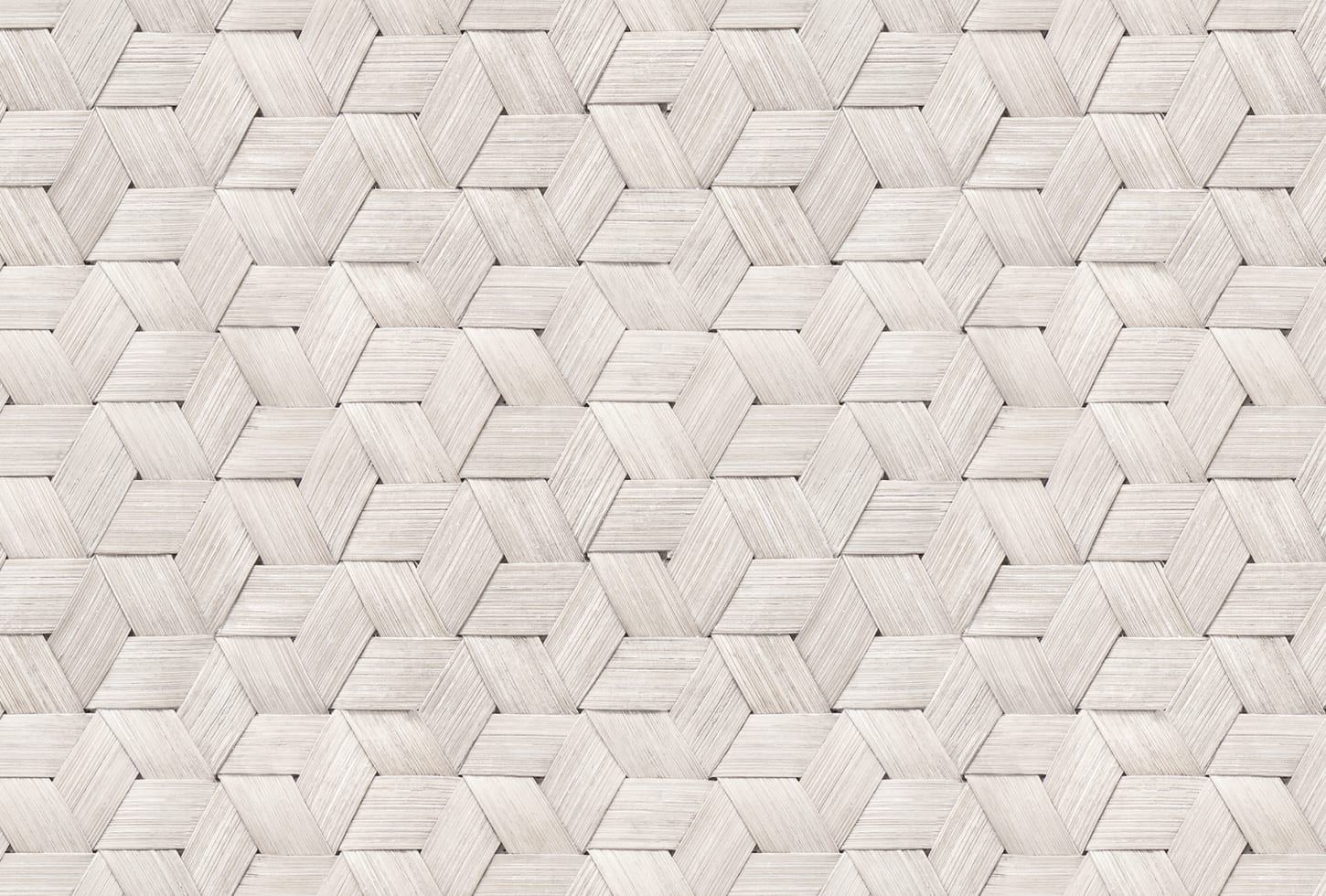 Rebel Walls tapeet Small Birch Bark Braids, Snow White R18538