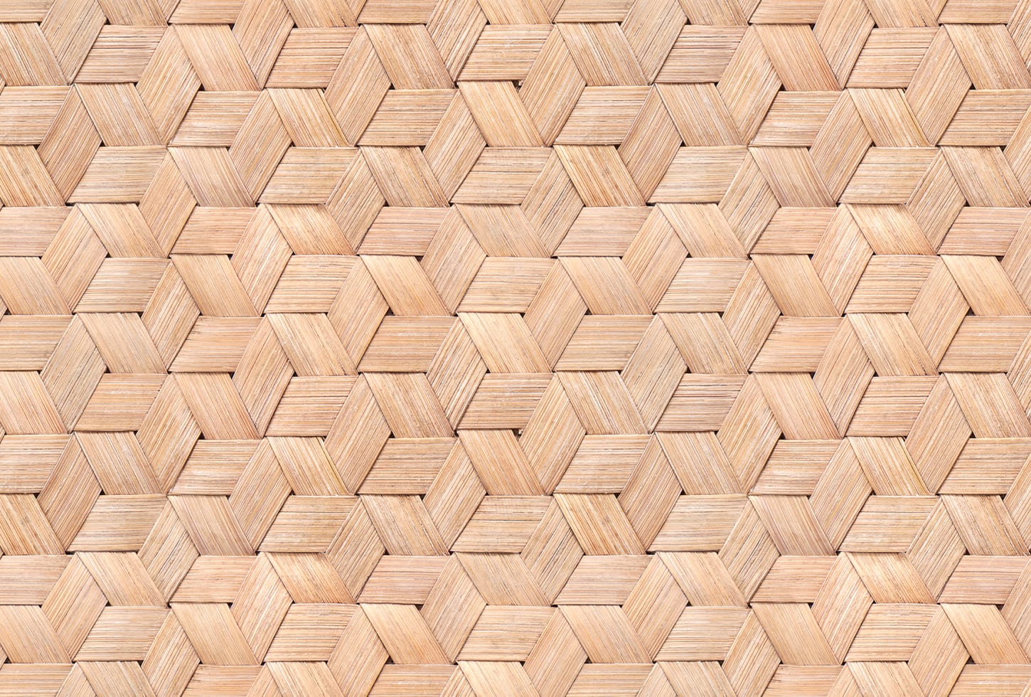 Rebel Walls tapeet Small Birch Bark Braids,  Nature R18539