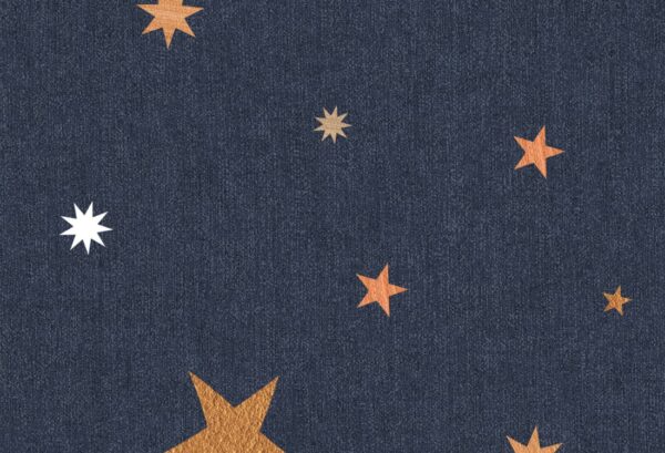 Rebel Walls tapeet Stardust, Night R18545