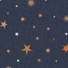 Rebel Walls tapeet Stardust, Night R18545