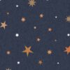 Rebel Walls tapeet Stardust, Night R18545