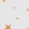 Rebel Walls tapeet Stardust, Dusk R18546