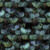 Rebel Walls tapeet Petite Peacock Plumage, Opal R18553