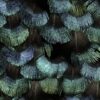 Rebel Walls tapeet Petite Peacock Plumage, Opal R18553