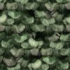 Rebel Walls tapeet Petite Peackock Plumage, Jade R18554