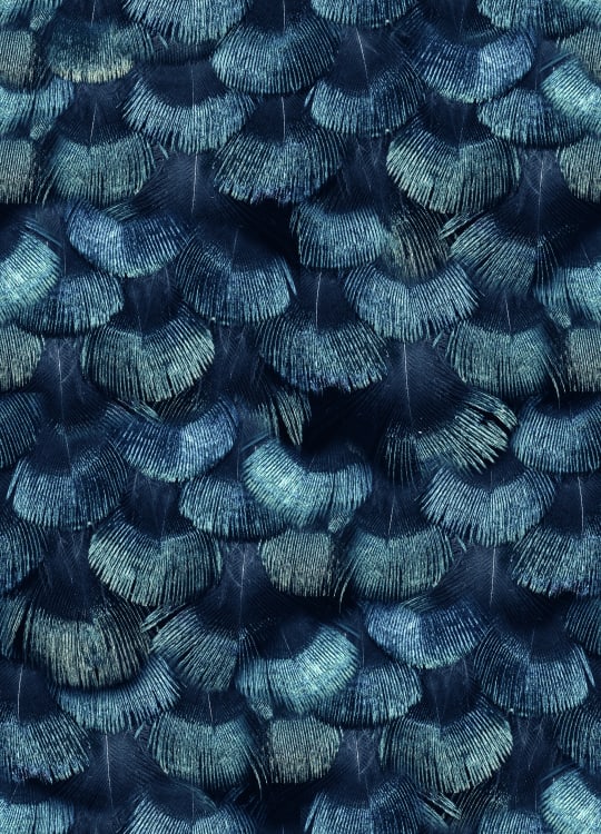 Rebel Walls tapeet Petite Peacock Plumage, Teal R18555