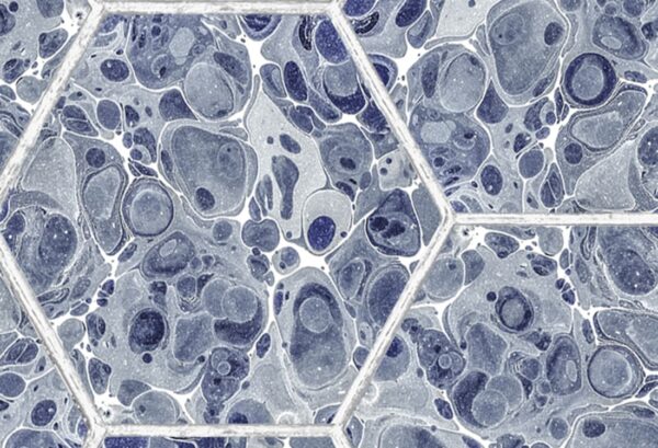 Rebel Walls tapeet Marbled Hexagon Tiles, Dark Blue R18557