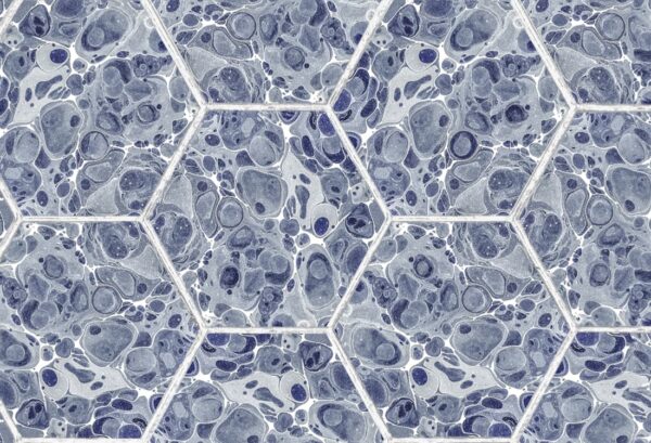 Rebel Walls tapeet Marbled Hexagon Tiles, Dark Blue R18557
