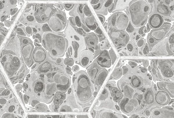 Rebel Walls tapeet Marbled Hexagon Tiles, Gray R18558
