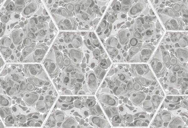 Rebel Walls tapeet Marbled Hexagon Tiles, Gray R18558