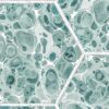 Rebel Walls tapeet Marbled Hexagon Tiles, Green R18559