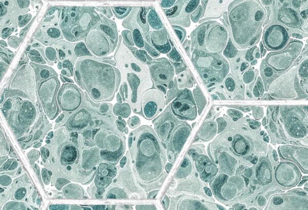 Rebel Walls tapeet Marbled Hexagon Tiles, Green R18559