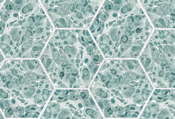 Rebel Walls tapeet Marbled Hexagon Tiles, Green R18559
