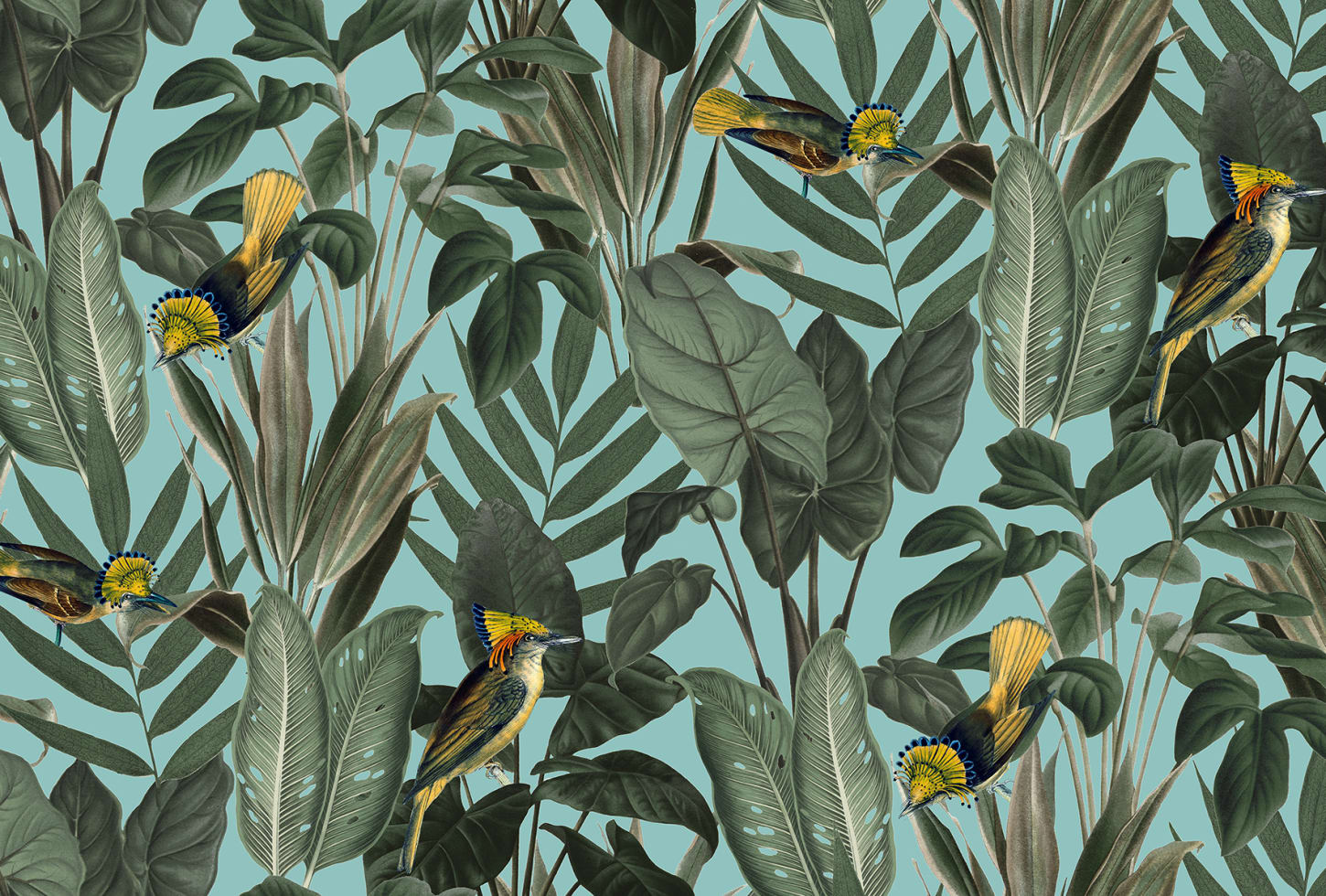 Rebel Walls tapeet Birds Of Paradise, Lush Green R18563