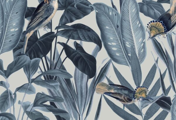 Rebel Walls tapeet Birds Of Paradise, Nightfall R18564