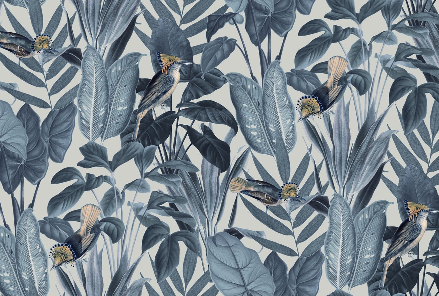 Rebel Walls tapeet Birds Of Paradise, Nightfall R18564