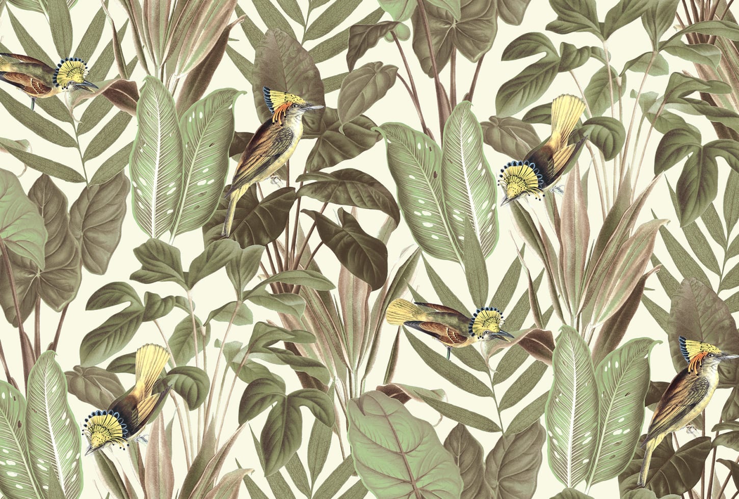 Rebel Walls tapeet Birds Of Paradise, Bright Dawn R18565
