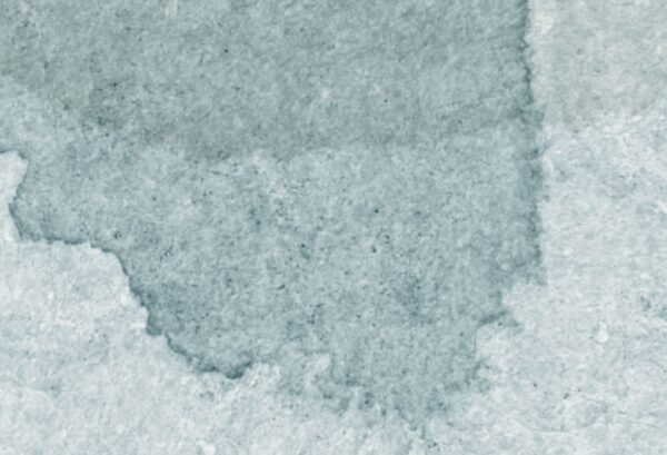 Rebel Walls pilttapeet Petals, Sky R18587