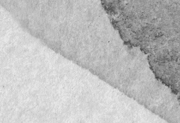 Rebel Walls pilttapeet Petals, Graphite R18589