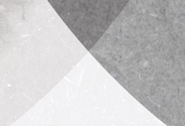 Rebel Walls pilttapeet Eclipse, Graphite R18634