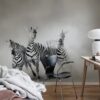 r19027_interior2 Rebel Walls pilttapeet Graphic Zebras R19027