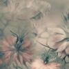 Rebel Walls pilttapeet Vintage Blossoms R19103