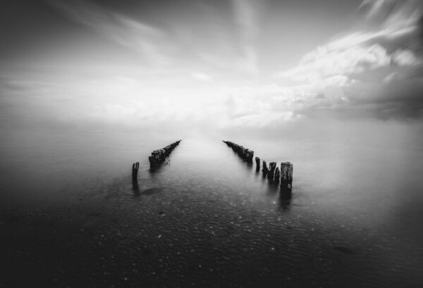 r19134_product Rebel Walls pilttapeet Into The Horizon R19134