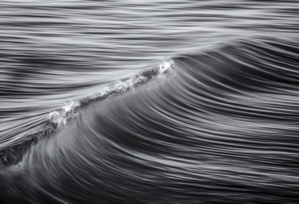 r19152_product Rebel Walls pilttapeet Graphic Wave R19152