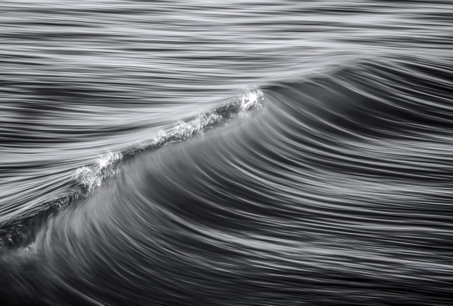 Rebel Walls pilttapeet Graphic Wave R19152