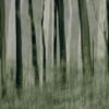 Rebel Walls pilttapeet Painted Trees R19153
